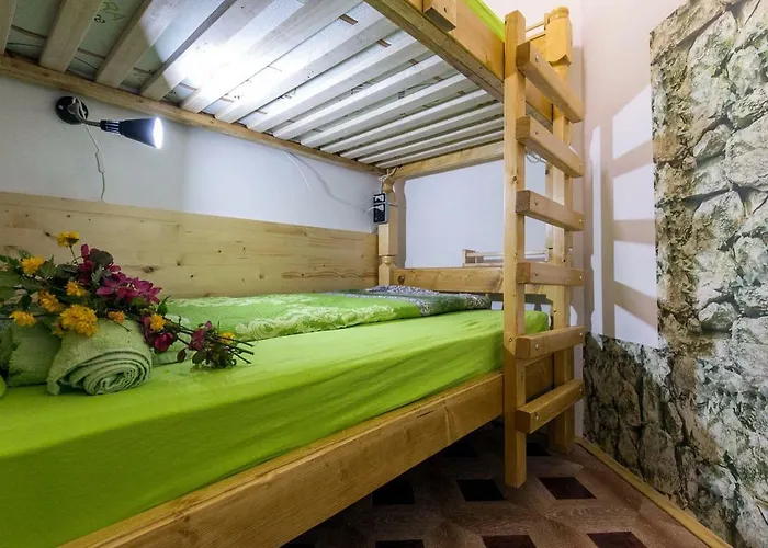 Auberge de jeunesse Put Svile Subotica